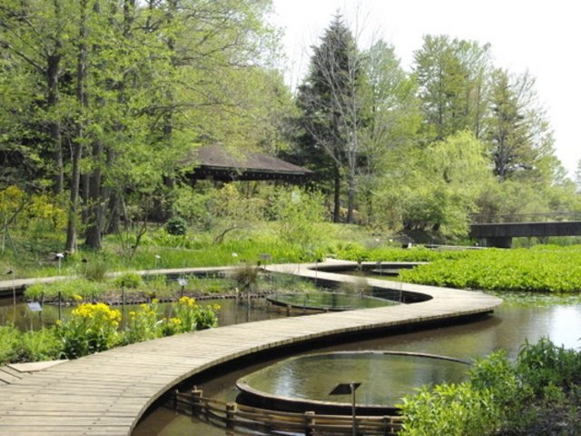 🌳 국립과학박물관 쓰쿠바실험식물원 이미지 1